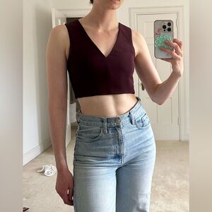 Cropped Aritzia Tank